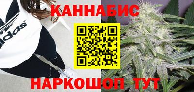 сатива Обнинск