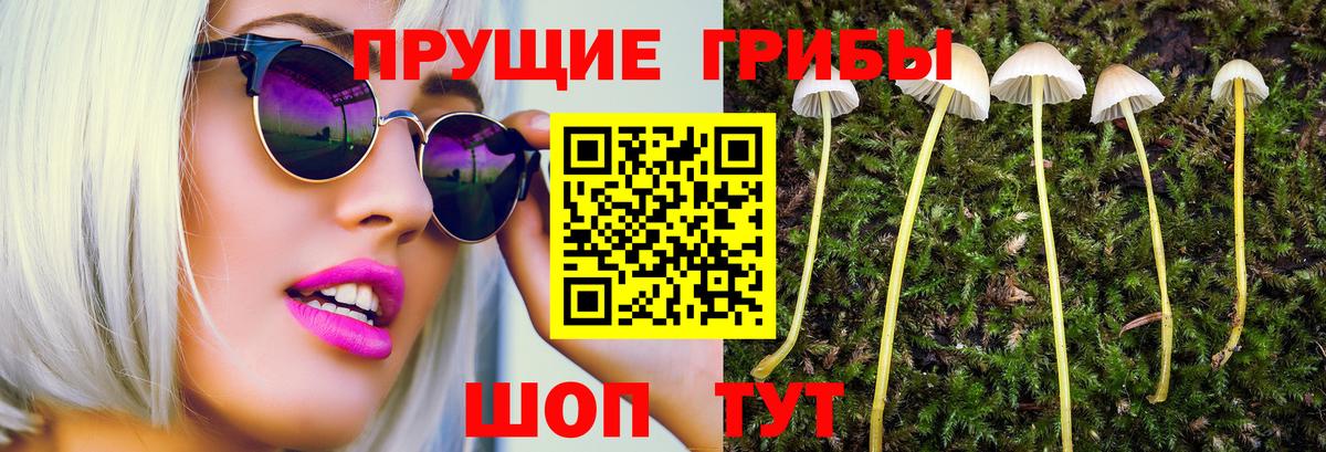закладки  Вход с VPN  Галлюциногенные грибы Magic Shrooms  Семилуки  Псилоцибиновые грибы Psilocybine cubensis 