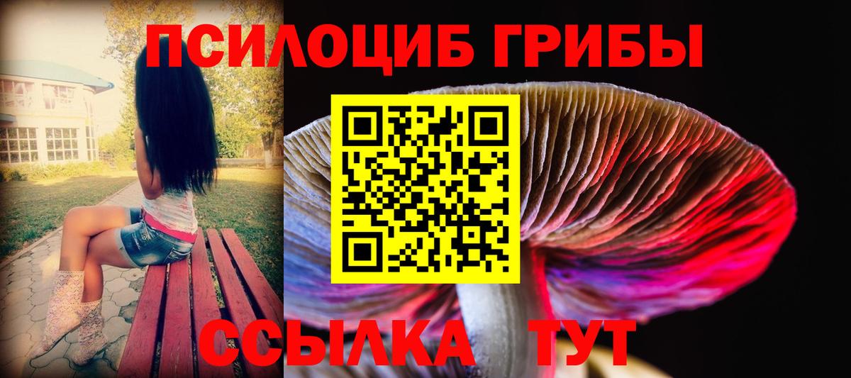 Псилоцибиновые грибы Cubensis Семилуки